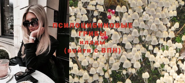 шишки Абинск