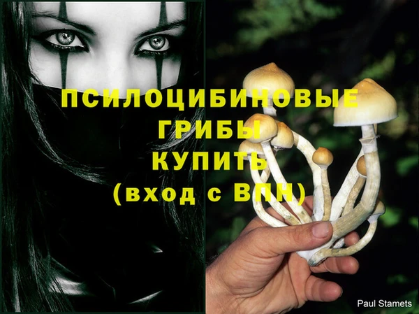 каннабис Михайловка