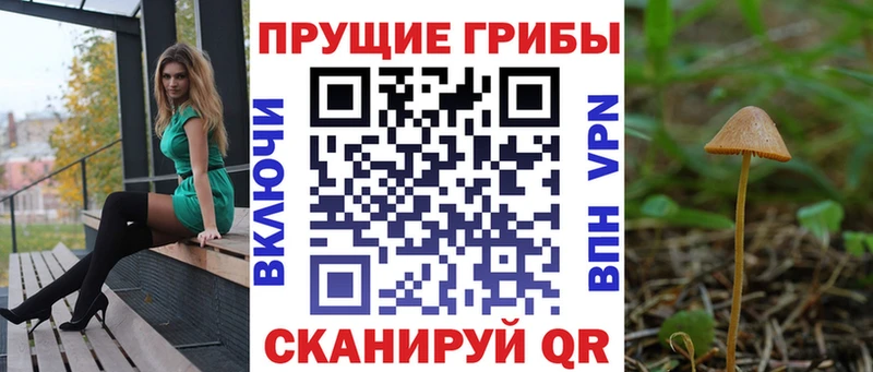 Галлюциногенные грибы Psilocybe  Стрежевой 
